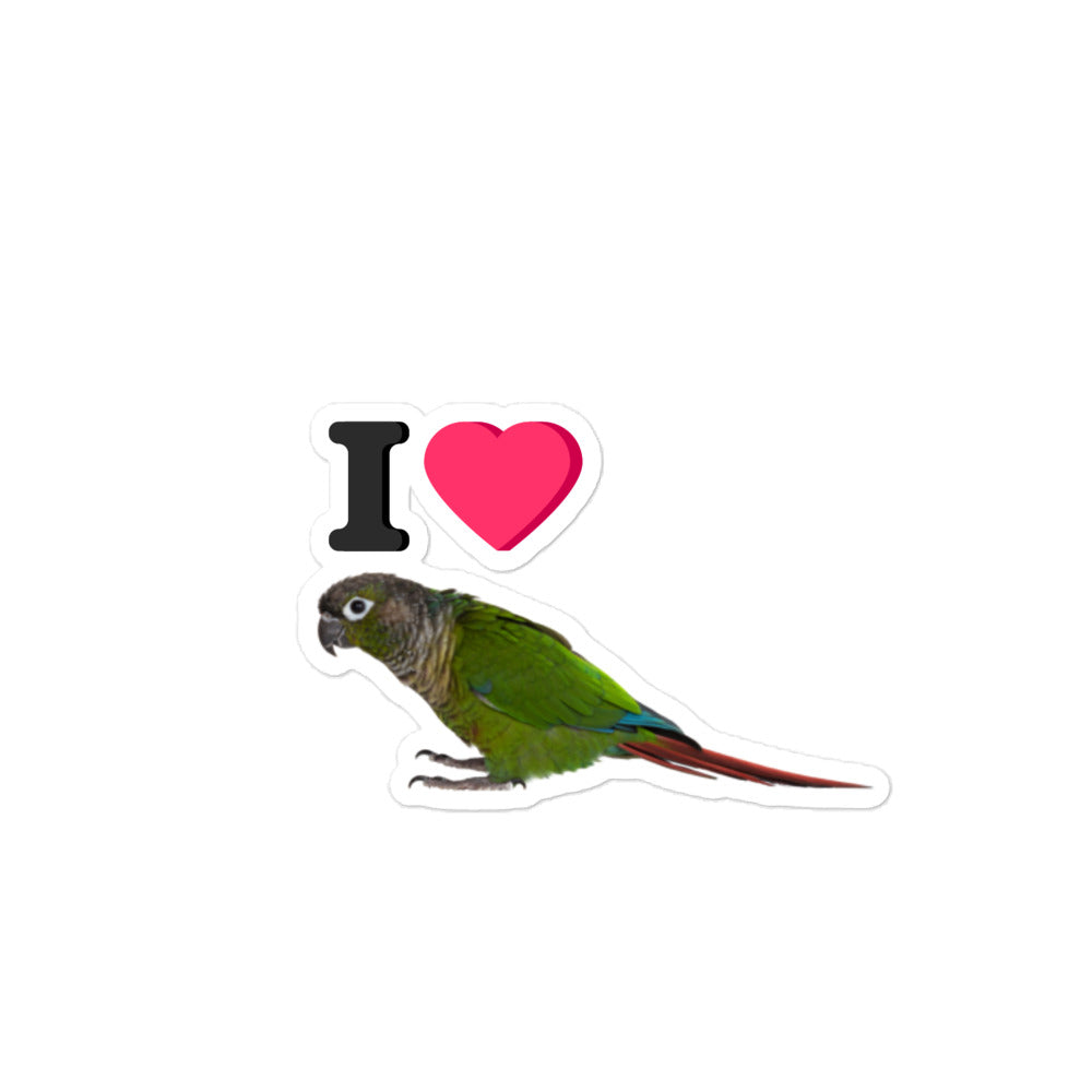 I Love Conures Sticker
