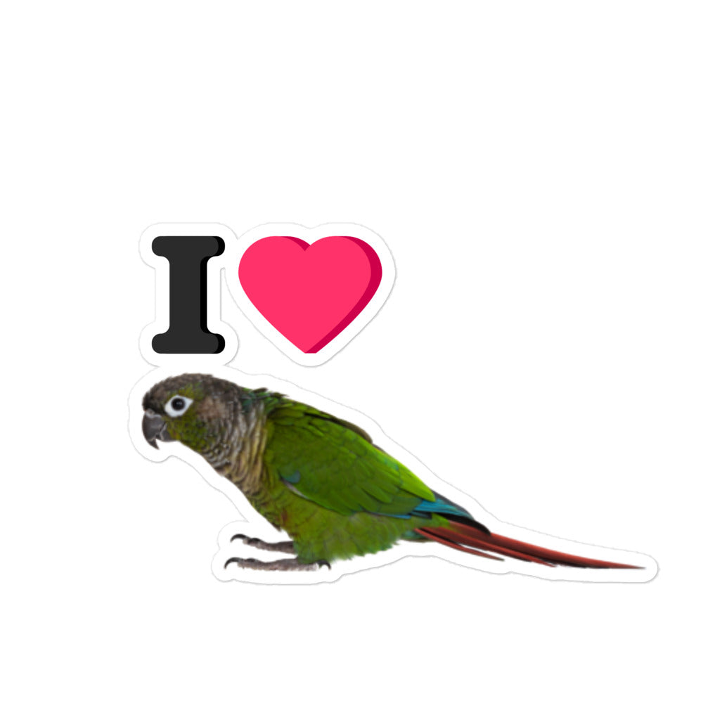 I Love Conures Sticker