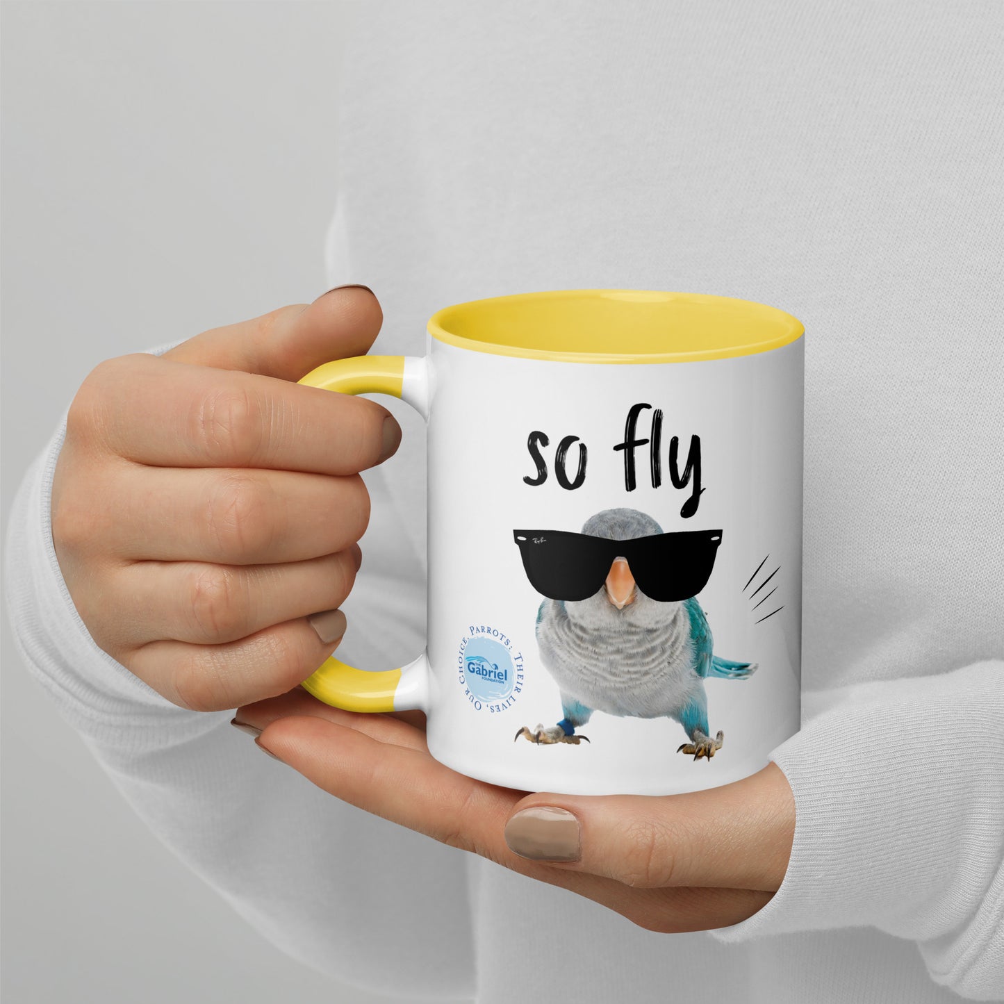 So Fly Mug with Color Inside