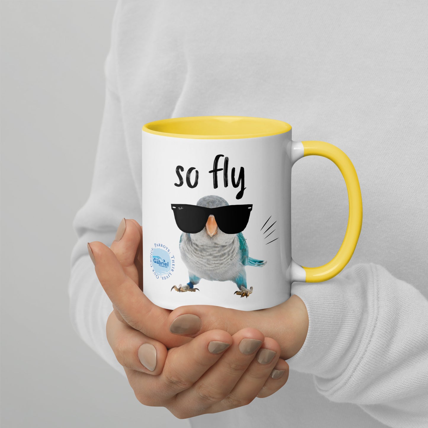 So Fly Mug with Color Inside