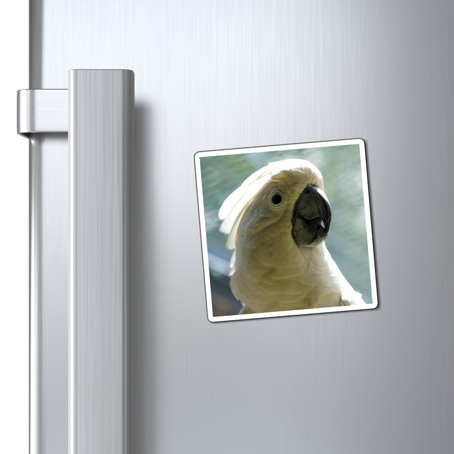 Cockatoo Magnet