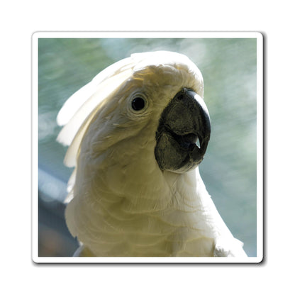 Cockatoo Magnet