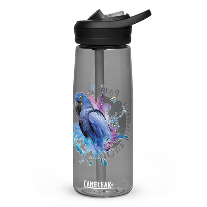 Hyacinth Macaw and Logo Water Bottle