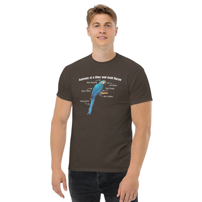 Anatomy of a Blue and Gold Macaw - Short Sleeve T-Shirt