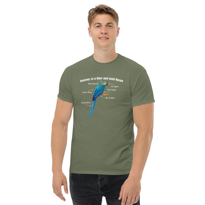 Anatomy of a Blue and Gold Macaw - Short Sleeve T-Shirt